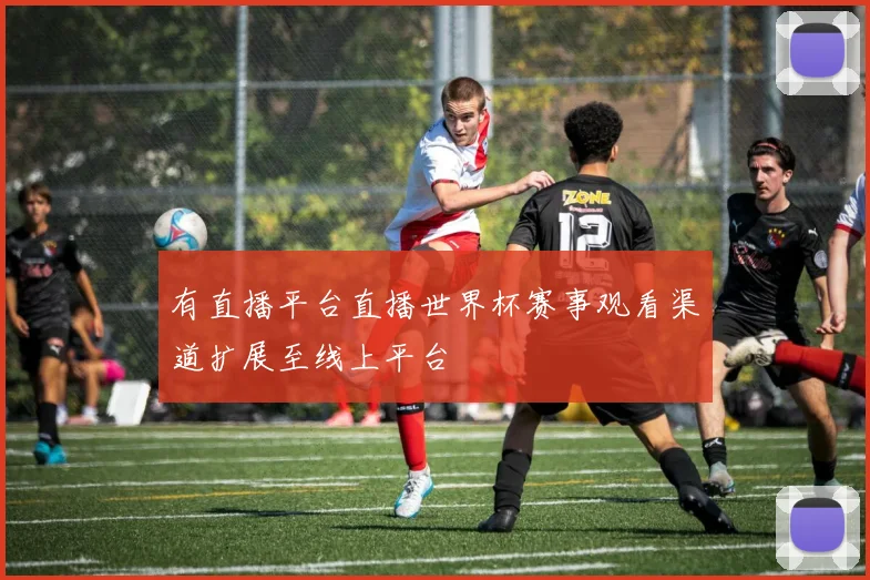 有直播平台直播世界杯赛事观看渠道扩展至线上平台